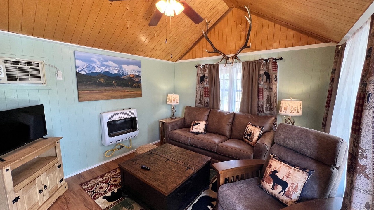 Photo of Livingroom in Mancos