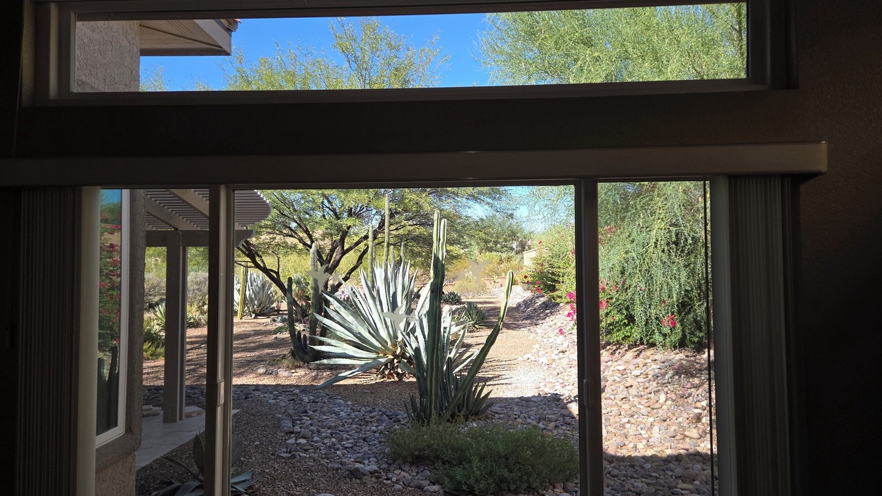Photo of Others in Rancho Vistoso