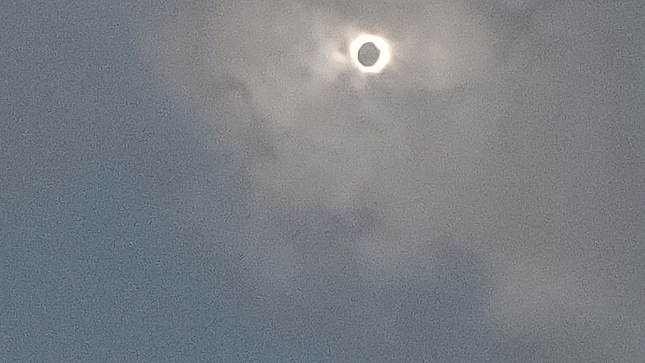 Photo of Others in McNeil