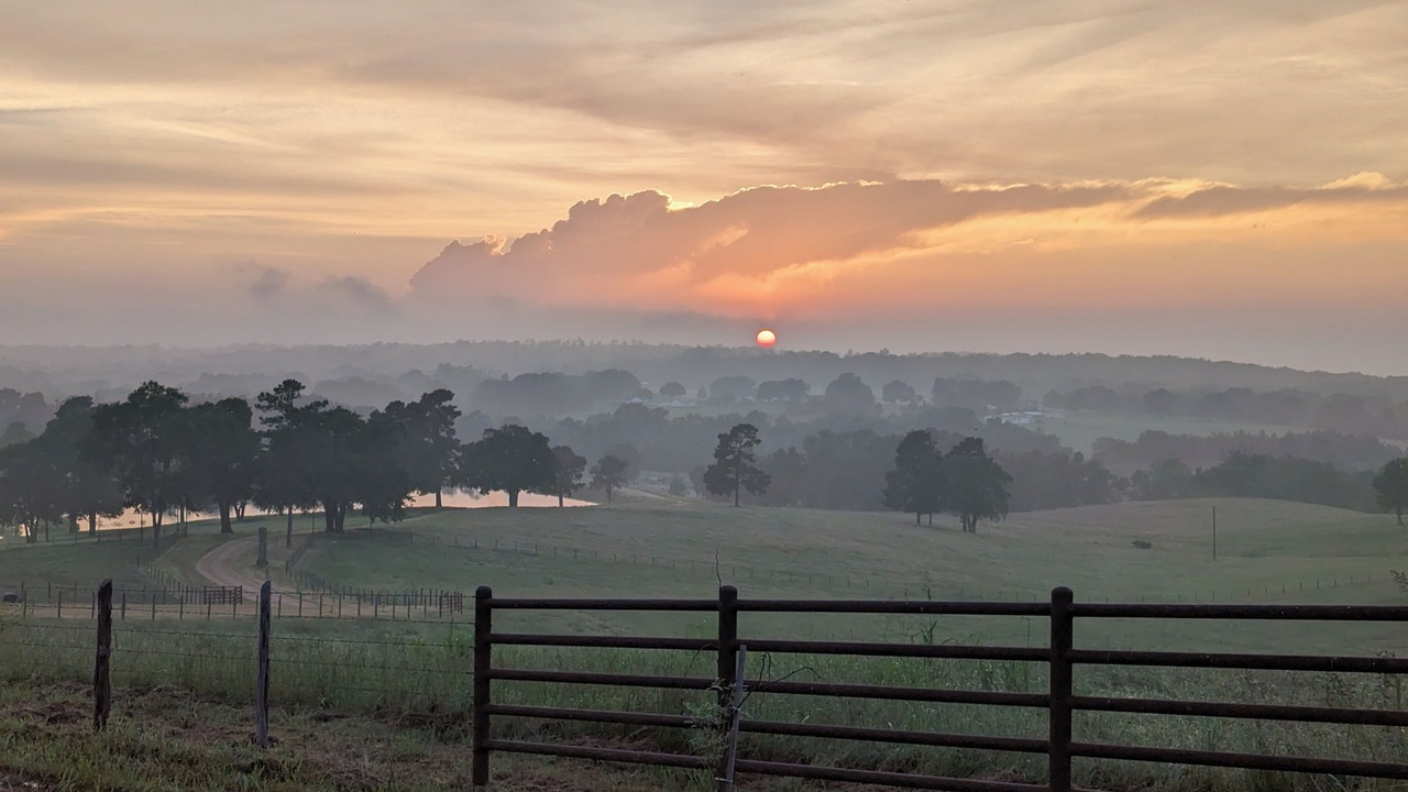 Photo of Others in Anderson County