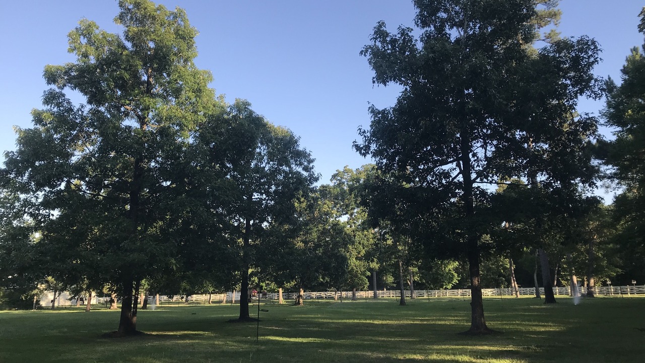 Photo of Others in Montgomery