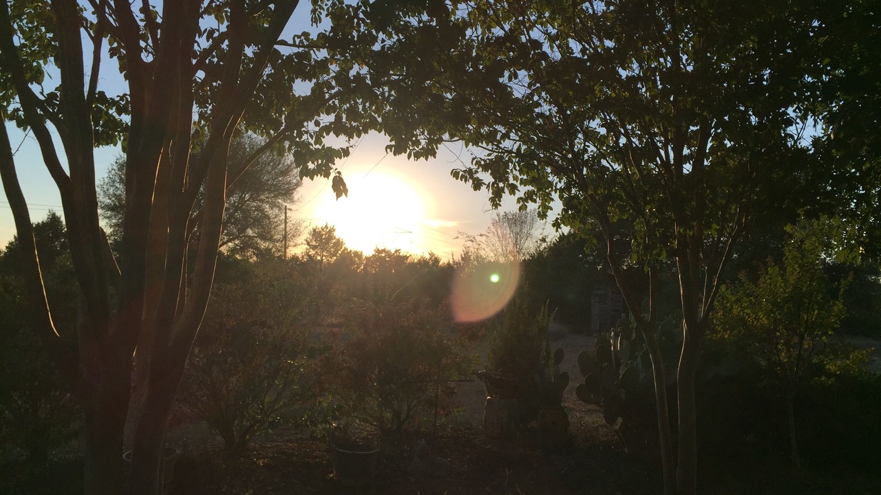 Photo of Outdoor in Weatherford