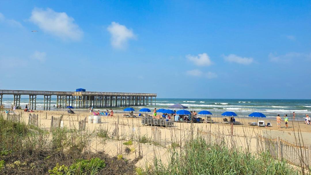 Photo of Others in South Padre Island