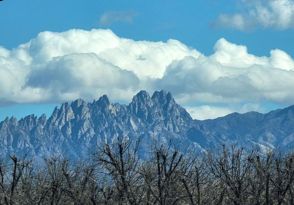Photo of Others in Las Cruces