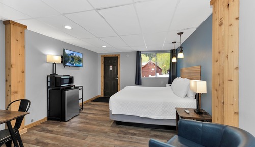Room, 1 King Bed