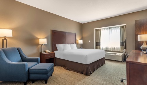 Room, 1 King Bed, Roll-in Shower, Non Smoking
