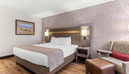 Standard Room, 1 King Bed, Non Smoking, Refrigerator