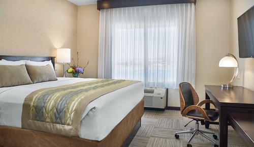 Room, 1 King Bed, Accessible, Non Smoking (Racetrack View)
