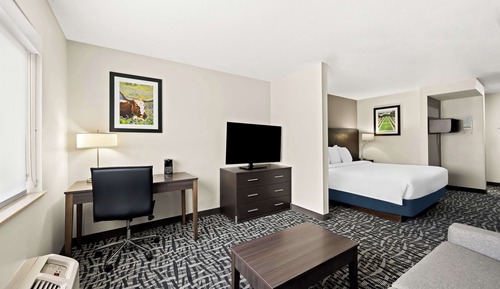 Suite, 1 King Bed, Accessible, Refrigerator & Microwave (with Sofabed)