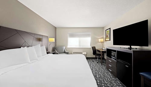 Standard Room, 1 King Bed, Non Smoking, Refrigerator & Microwave