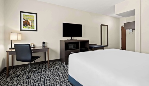 Standard Room, 1 King Bed, Accessible, Refrigerator & Microwave
