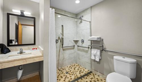 King Room with Roll-In Shower - Accessible/Non-Smoking