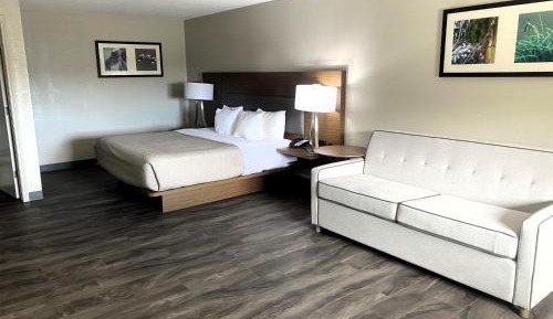 King Suite with Sofa Bed and Wet Bar - Non-Smoking
