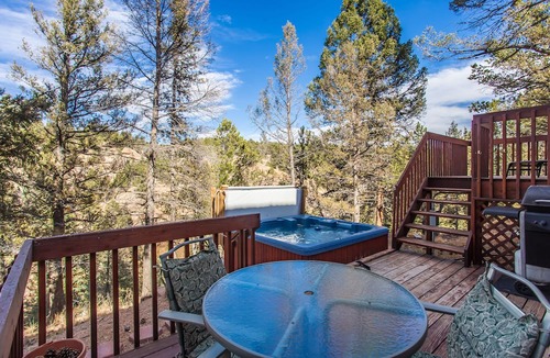 Florissant House | Your mountain getaway on 30 pristine acres! Beautiful home with hottub, stream.