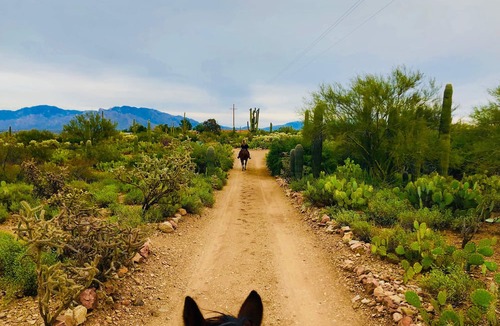 Cortaro Villa | Spectacular Viĺla,private resort, trails,horses,pool.Unique Desert Adventure!