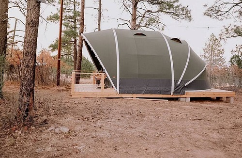 McIntosh RV Rental | Cozy Family Glamping Escape with Heritage Orchard near Mountainair in Torreon, New Mexico
