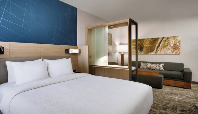 SpringHill Suites by Marriott El Paso Airport