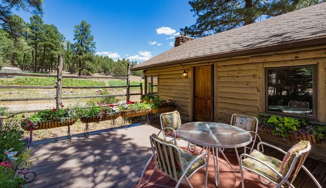 ⭐️Premier Host - Serene cabin, the best amenities, north end of James Ranch