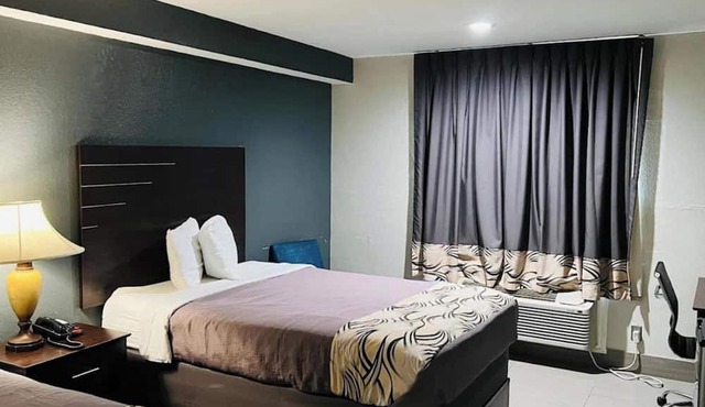 Recharge in a Welcoming Room While Exploring Downtown Houston & Nearby Sights in Houston