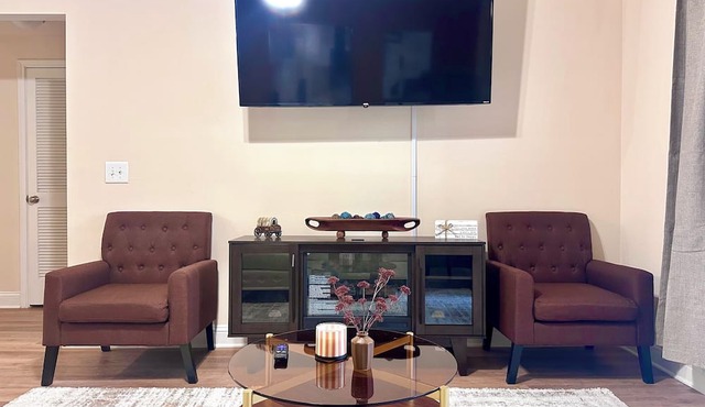Cozy Modern 1BD Med Center NRG Galleria Downtown.