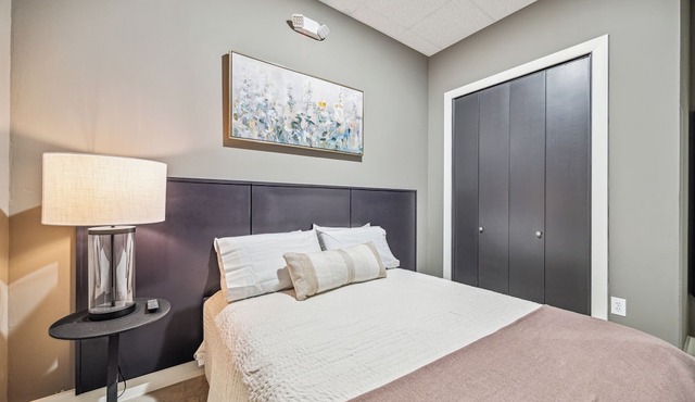 Centrally located, unique and brand new condo